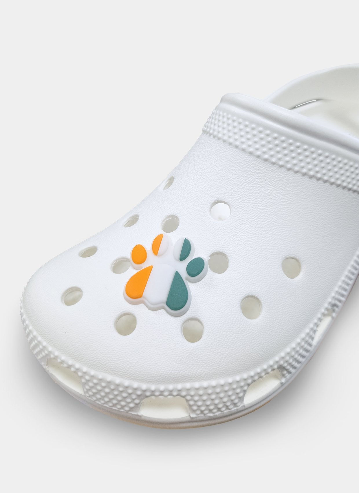 clog charm lucky little paw