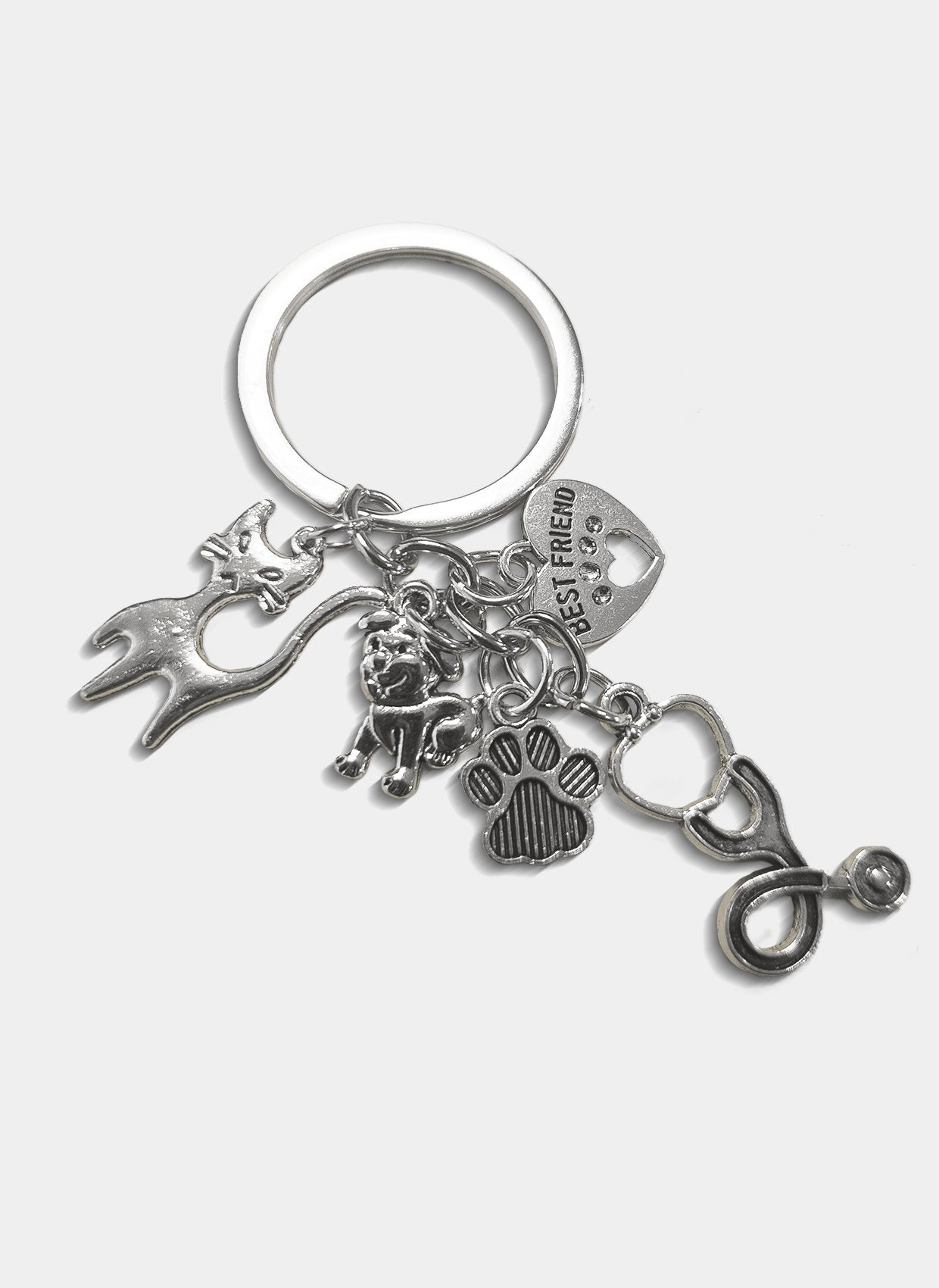 keychain vets the vet life keychain